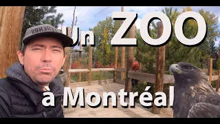 Montréal dans ta pipe: L'écomuséum, un Zoo à Montréal