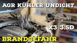 BMW X3 3.5d AGR Kühler undicht |AGR Kühler tauschen | Ansaugbrücke reinigen | Einlasskanäle strahlen