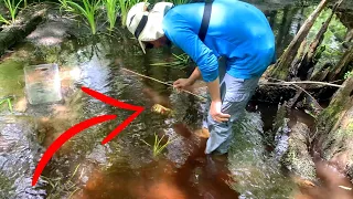 FLORIDA MAN Catches Catfish in a *BEER CAN*!!