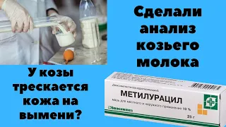 Сделали анализ молока/ Трескается кожа на вымени у козы?