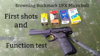 Browning Buckmark UFX Micro bull, first shots and function test.