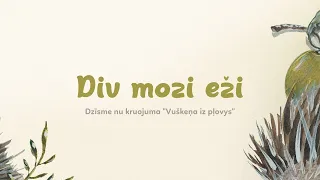 Div moži eži | Vuškeņa iz pļovys