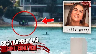 Arkadaşlarıyla Yüzerken Boğa Köpek Balığı Tarafından Parçalanan Stella Berry'nin Korkunç Hikayesi