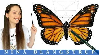 How to Draw a Butterfly - Easy step by step Tutorial + Fun facts!