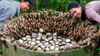 Cooking 700 Wild Snails with Palm Seeds Recipe - Fried Africa Snail in Village - Kitchen Foods
