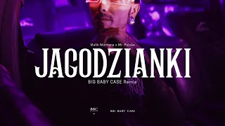 Malik Montana & Mr.Polska - Jagodzianki (BIG BABY CASE Remix) [Sped Up]