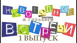 НОВОГОДНИЕ ВСТРЕЧИ В ГОРЬКОГО 1 выпуск