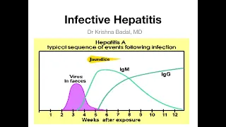 Viral hepatitis in children