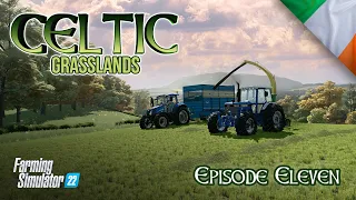 Bigger Fields and More Grass! - Celtic Grasslands - Ballyspring - Ep11