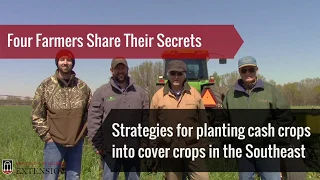 4 Farmers Share Secrets for Planting Cash Crops into Cover Crops