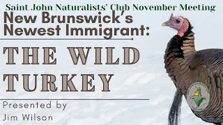 New Brunswick’s Newest Immigrant: The Wild Turkey with Jim Wilson