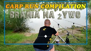 CARP RUN COMPILATION , MOJE BRANIA NA ŻYWO