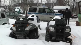В Ивановской области задержана банда "черных лесорубов"