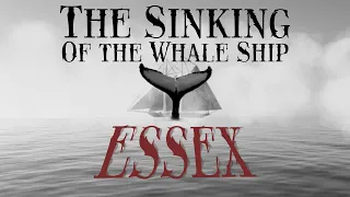 The Sinking of the Whale Ship Essex | Darker Tales