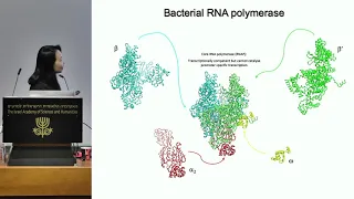 Structural Biology | D2S5 15/21 - Mechanisms of Bacterial Transcription Initiation. - Xiaodong Zhang