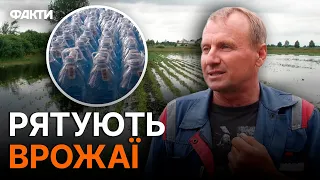 ВОДИ НЕ ВИСТАЧАЄ! Дніпропетровщина насилу ВИЖИВАЄ після знищення Каховської ГЕС