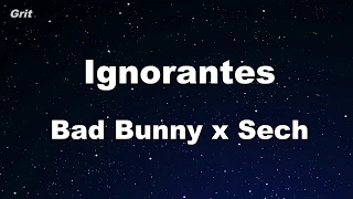 Karaoke♬ Ignorantes - Bad Bunny x Sech 【No Guide Melody】 Instrumental