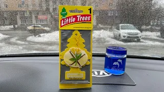 Обзор на ароматизатор LITLLE TREES VANILLA