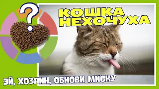 Реально ли накормить привередливого кота? Cat Gourmet