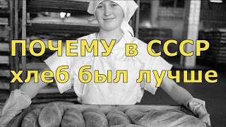 Почему нынешний хлеб хуже того, что делали в Советском Союзе