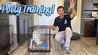 Potty Training your puppy!