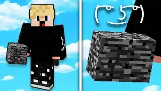 Skyblock, ale dostanem každých 30 Sekund Náhodný Item