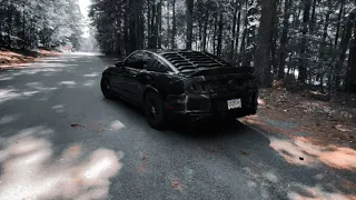 Morning POV in 2014 mustang cold start with stock exhaust idle and hard pulls