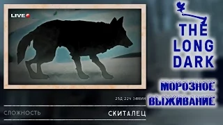 The Long Dark │Морозное выживание #4