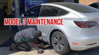 Tesla Model 3 Maintenance Costs, Warranty Info, and Service Items - One Year Later