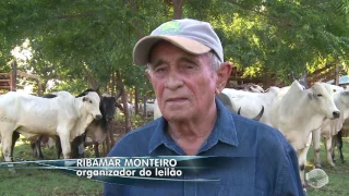 Fazenda Oiticica confirma leilão de animais em maio