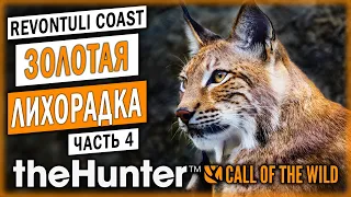 В ПОИСКАХ ЗОЛОТЫХ ТРОФЕЕВ! ОХОТА В ФИНЛЯНДИИ! | theHunter Call of the Wild 🦆 | (часть 4)