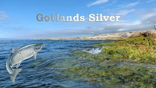 Gotlands Silver