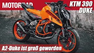 KTM 390 Duke (2024): Neue A2-Duke ist groß geworden