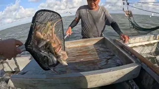 South Texas Shrimping #49 Tôm Nam Texas