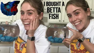 I Bought a Betta Fish