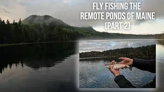 An Epic Fly Fishing Adventure | Part II | Maine Fishing 2023