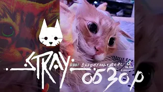 Stray - игра про кота Чубайса / обзор Абдуля