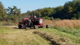 farmall 656 baling hay
