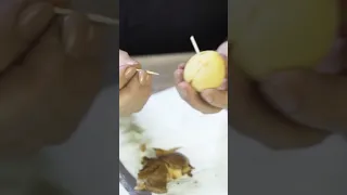 Как вырастить авокадо  ✔️