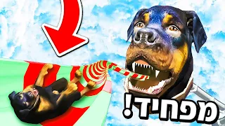 🔴 התגלשתי במגלשת המים הכי מטורפת שקיימת ב GTA V?! (מגלשת המים של צ'ופ ב GTA V!)