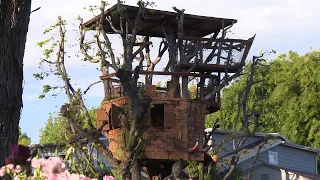 24-Year-Old Tree House in Danger of Being Torn Down