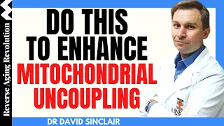 DO THIS To Enhance MITOCHONDRIAL UNCOUPLING For Optimal Health | Dr David Sinclair Interview Clips