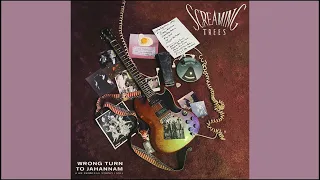 Screaming Trees-Wrong Turn To Jahannam (Live At Egg Studio 1991)