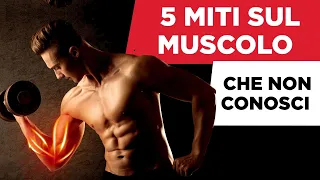 5 miti sul MUSCOLO