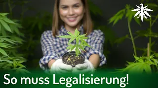 So muss Legalisierung! | DHV-News # 334