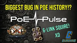 6-socket Squire? Biggest Bug in PoE History! PoE Pulse #1