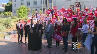 LA City Council To Consider Moving Forward With Ban On Fur