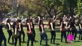 Belly FlashMob 2 - Nivel 1 (principiantes) Academia Hayat Danzas Árabes