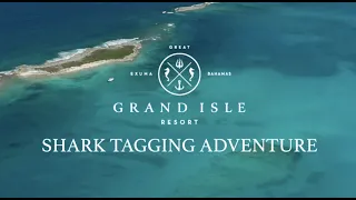 Grand Isle Resort Shark Tagging Adventure