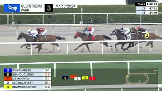 Gulfstream Park March 3, 2024 Race 3